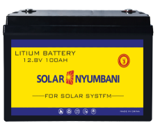 1.28kWh 12.8V 100Ah Lithium-Ion Battery